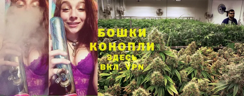 Канабис OG Kush  хочу наркоту  Полярные Зори 